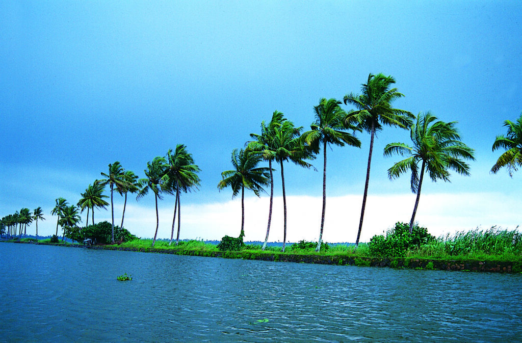 10 Kerala Destinations to Spend New Year's Eve